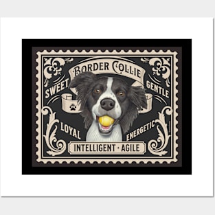 Funny Border Collie with favorite toy tennis ball Posters and Art